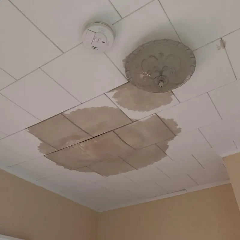 Ceiling Water Damage Repair in Cleveland Heights, OH