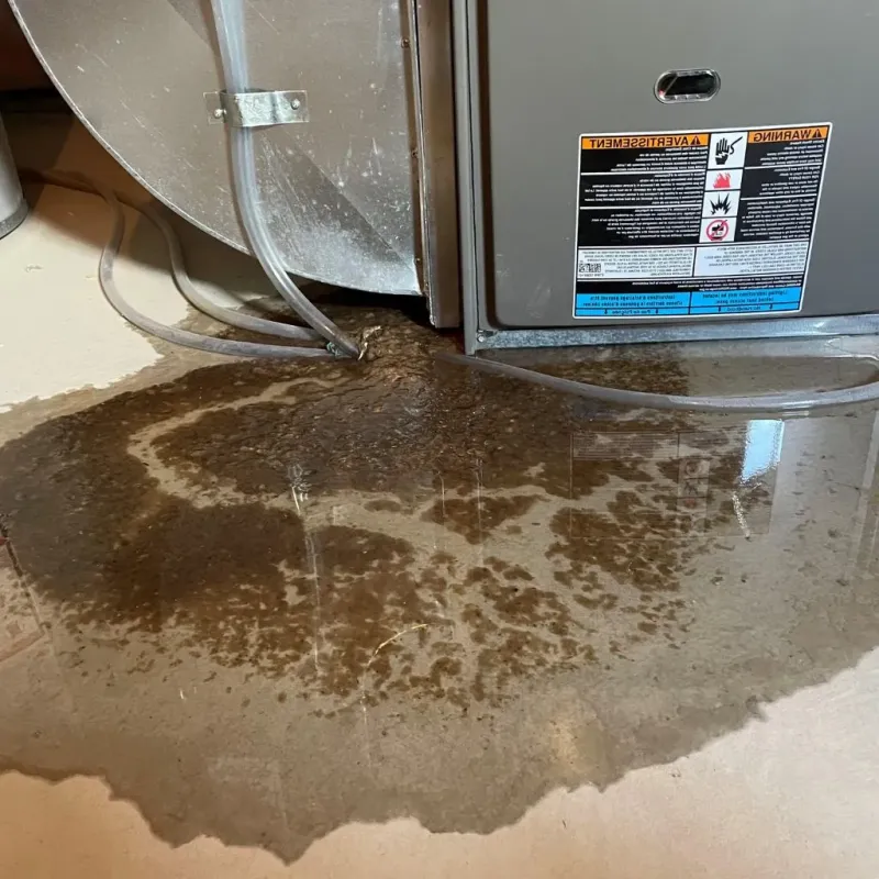 Pipe Burst and Leak Restoration in Cleveland Heights, OH