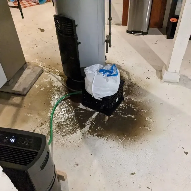 Sewage Backup Cleanup Service in Cleveland Heights, OH